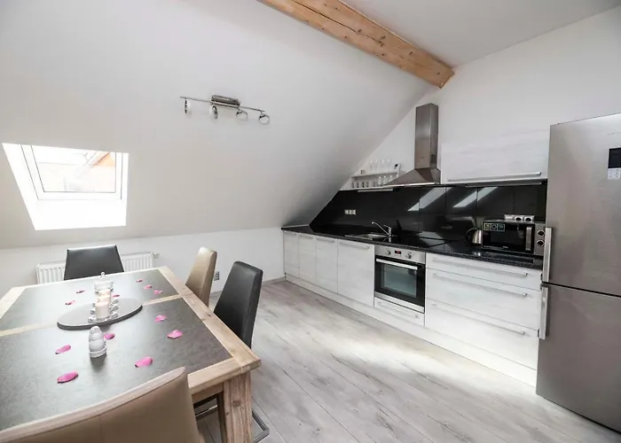 Aparthotel Vip Heinz Dobris